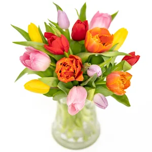 15 Tulpen