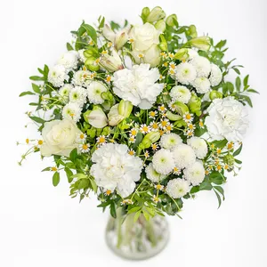 Dream in White