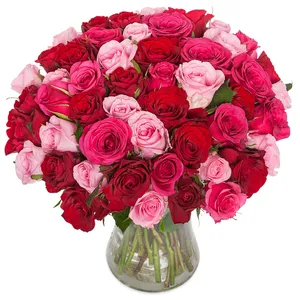 60 rozen