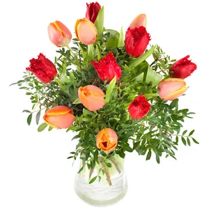 Euphoria tulips