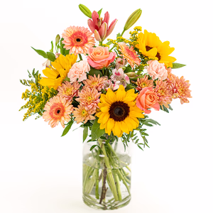 Groß (50% mehr Blumen)