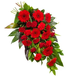 Lovely red