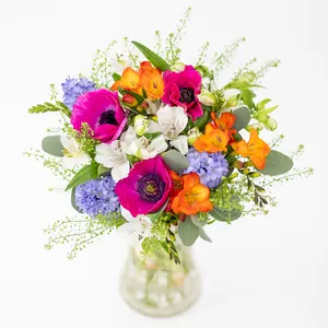 Süße Anemonen
