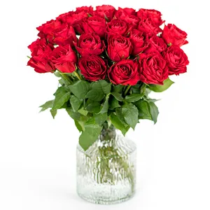 25 roses rouges