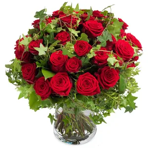 36 red roses