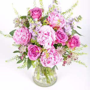 Groß (50% mehr Blumen)