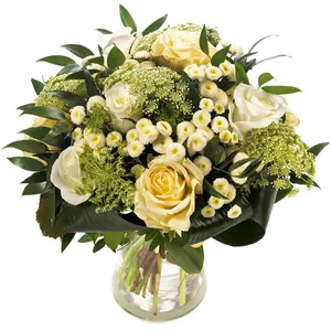 White surprise
