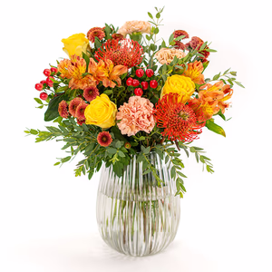 Large (50% more flowers)
