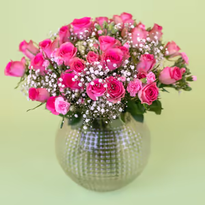 Rosa royal