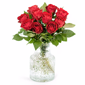 10 Rode Rozen