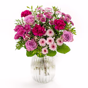 Groß (60% mehr Blumen)