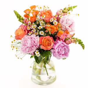 Medium (50% more flowers)