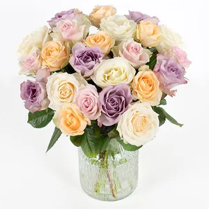 25 roses