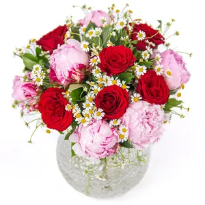 Groß (100% mehr Blumen)