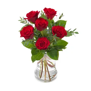 6 rode rozen