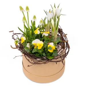 Søte vårblomster