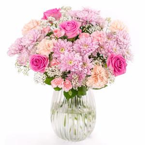Large (50% more flowers)
