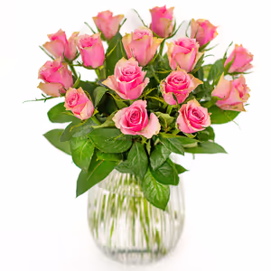 15 Rosen