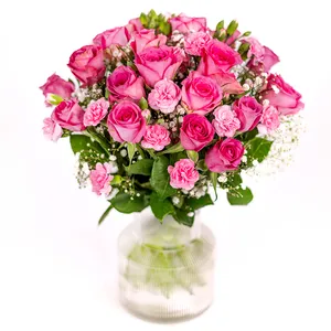 Rosa elegance