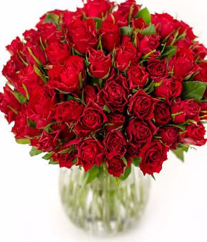 50 Red Roses