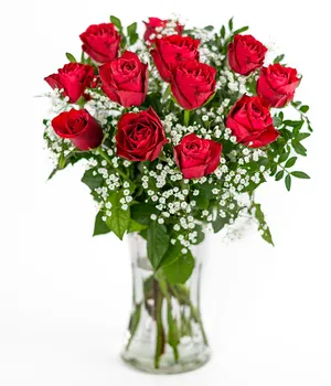 12 Red Roses
