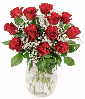 12 Red Roses