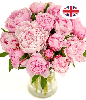 15 Peonies