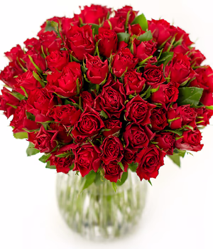 50 Red Roses