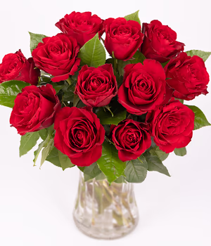 12 Red Roses