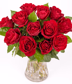 12 Red Roses