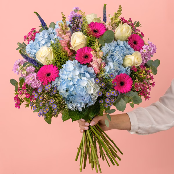 Florist's Hydrangea Luxury