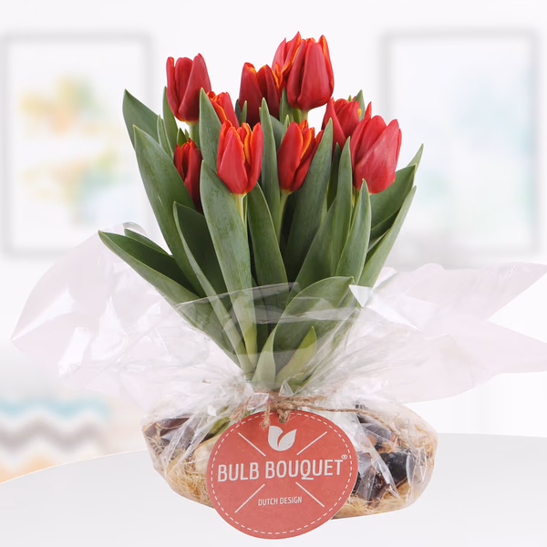43416-bulb-bouquet-rot-geflammt.jpg