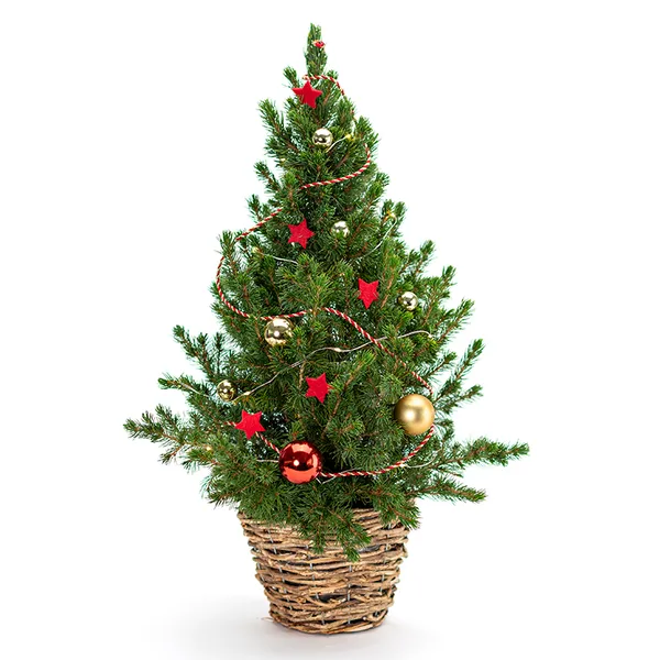 Mini Xmas Tree