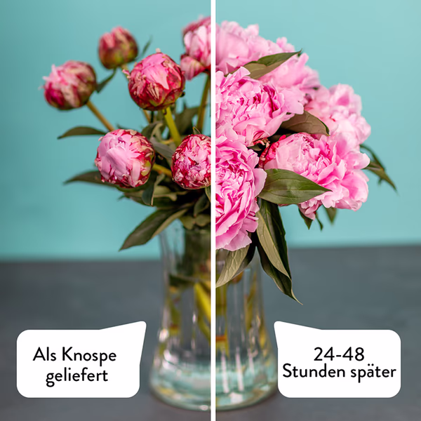 Bud to bloom design_DE_Blue.jpg