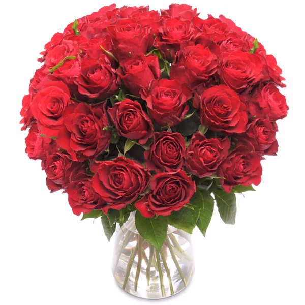 40 red roses