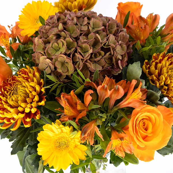 20180020_feuriger_herbst_2.jpg