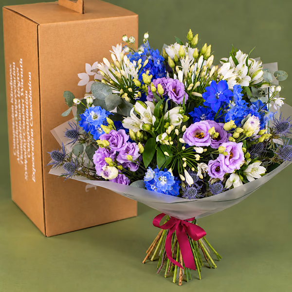 NP26BOX0297_5.jpg