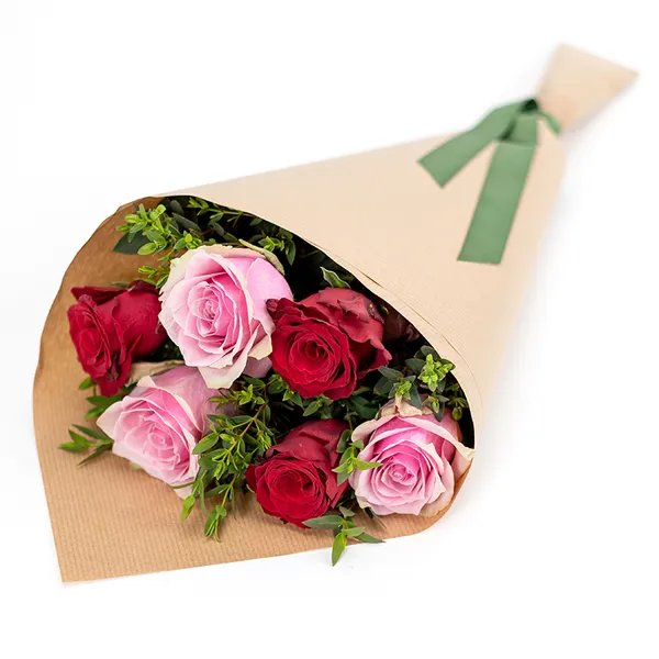 NP25BOX0019S.jpg