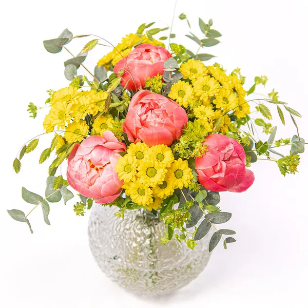 NP24BOX0043L.jpg