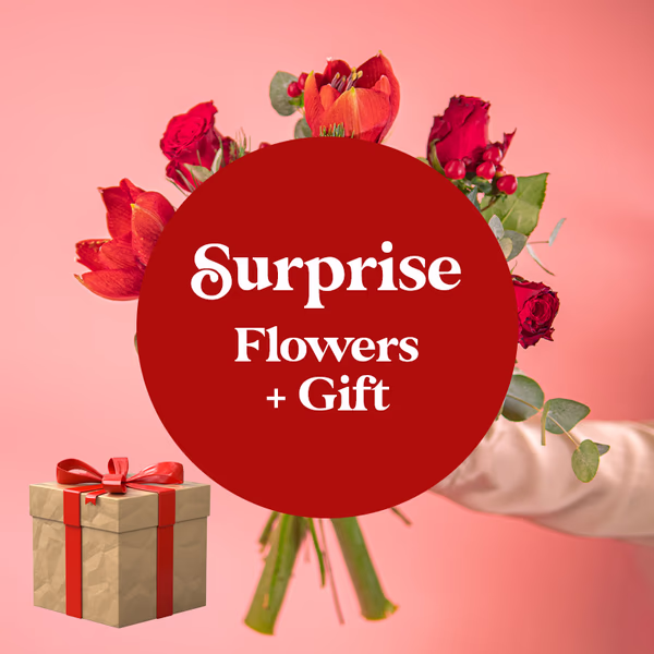 Tomtens överraskning inkl. julklapp