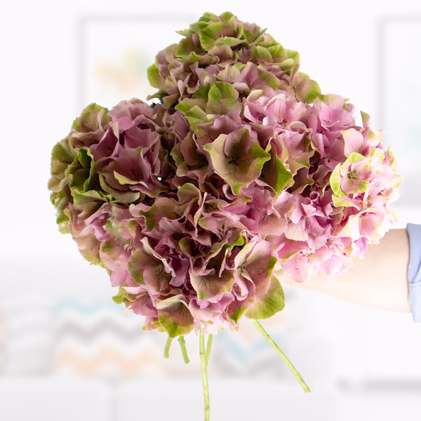 Hydrangea bouquet in pink-green