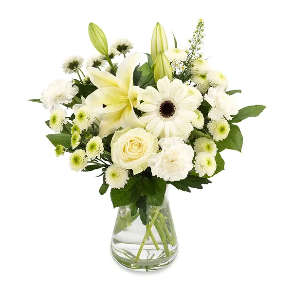 Small, round bouquet of white gerberas, lilies, white roses and callistephus (aster) with salal