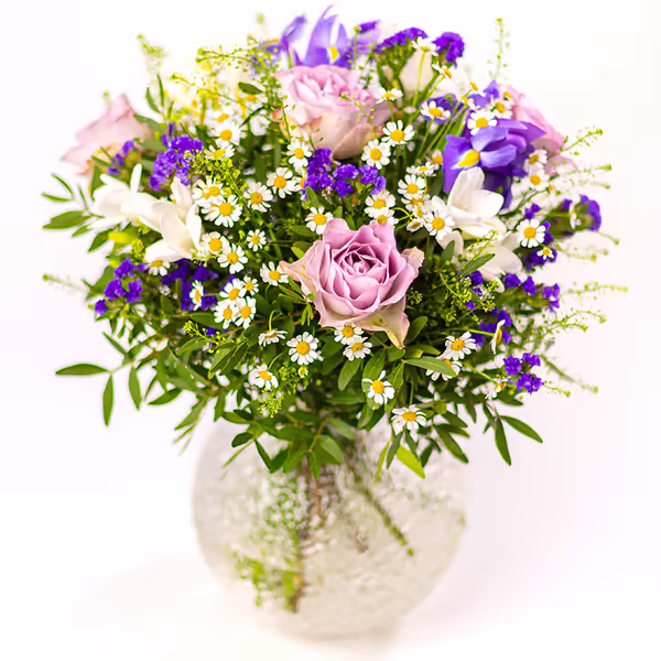 NP24BOX0128L.jpg