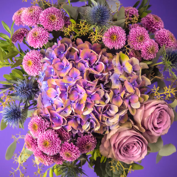 Grand bouquet noué à la main compact de hortensias violettes, roses violettes et santini violettes avec eucalyptus