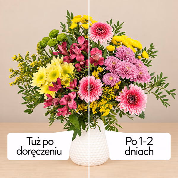 NP26FLO0232_2.jpg