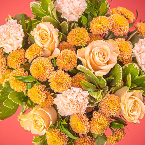 BOU20_41L_1.jpg