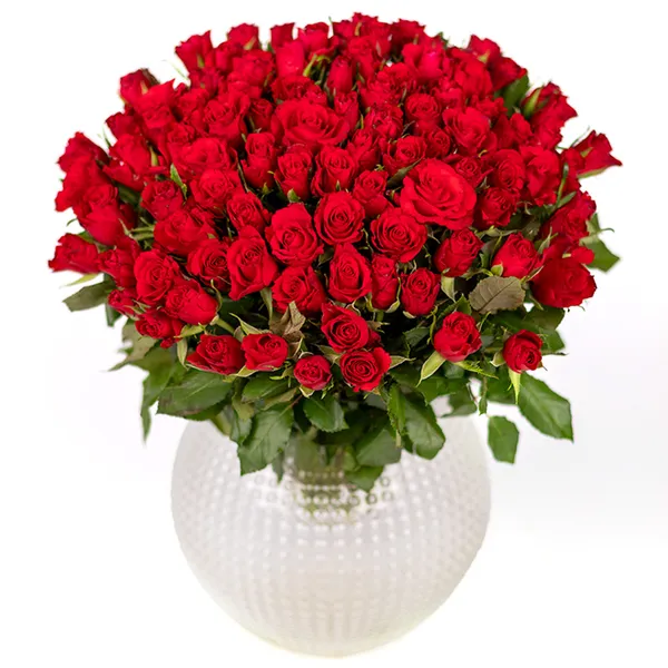 100 Red Roses