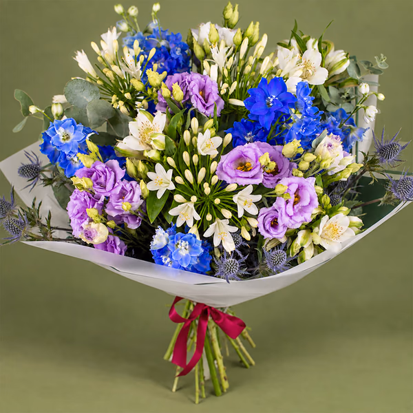 NP26BOX0297S.jpg
