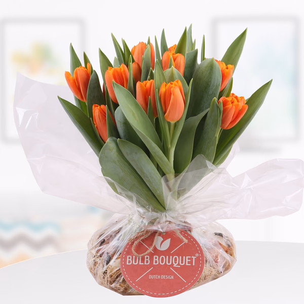 43418-bulb-bouquet-orange.jpg