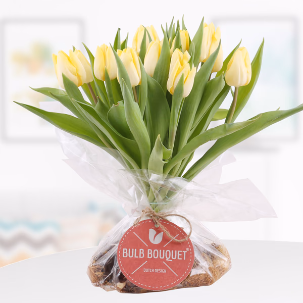 43417-bulb-bouquet-gelb.jpg